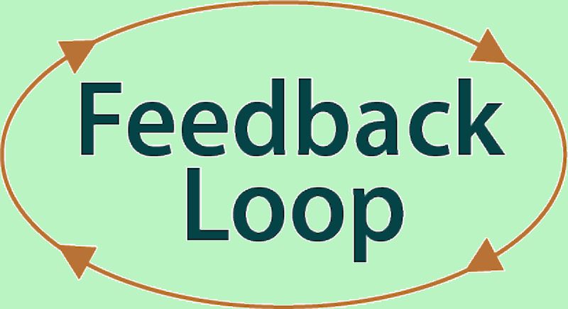 How to Create an Effective Feedback Loop for Success
