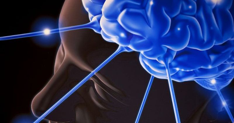 5 Ways to Increasing Your Brain Power and Health