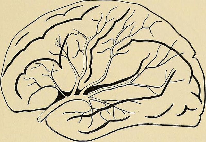 5 Keys to the Right Mindset for Growth and Success